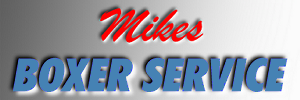 Logo_BoxerService02